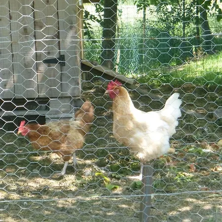 Les Aneries B&B