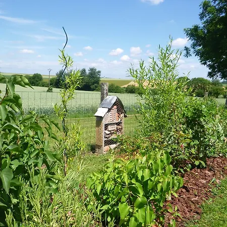 Les Aneries B&B *