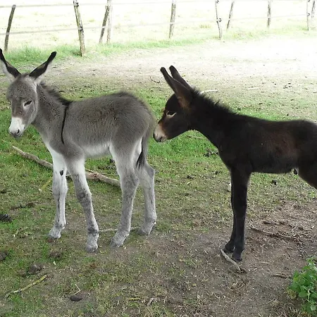B&B Les Aneries *